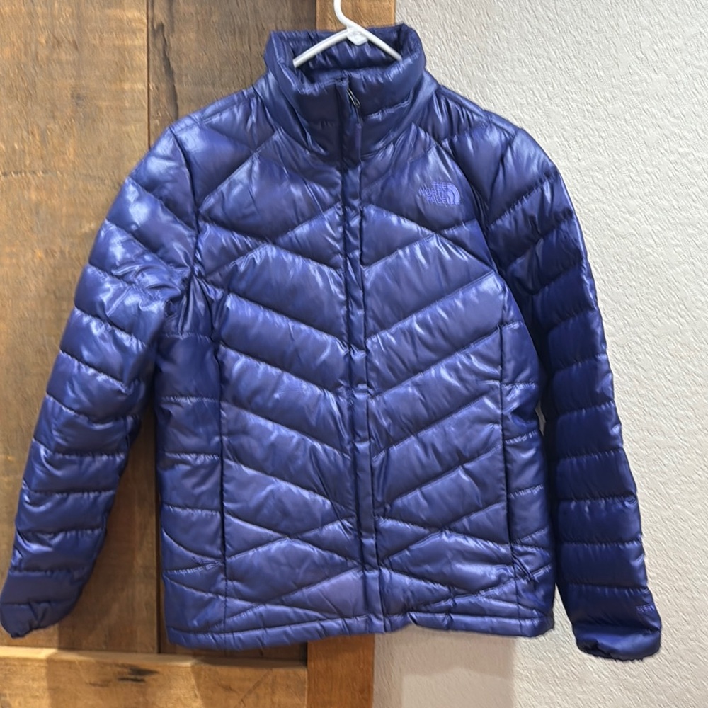 The North Face Blue Puffer Jacket